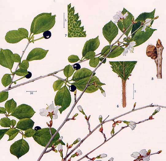 �}���U�N��