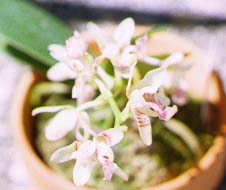 �i�S����