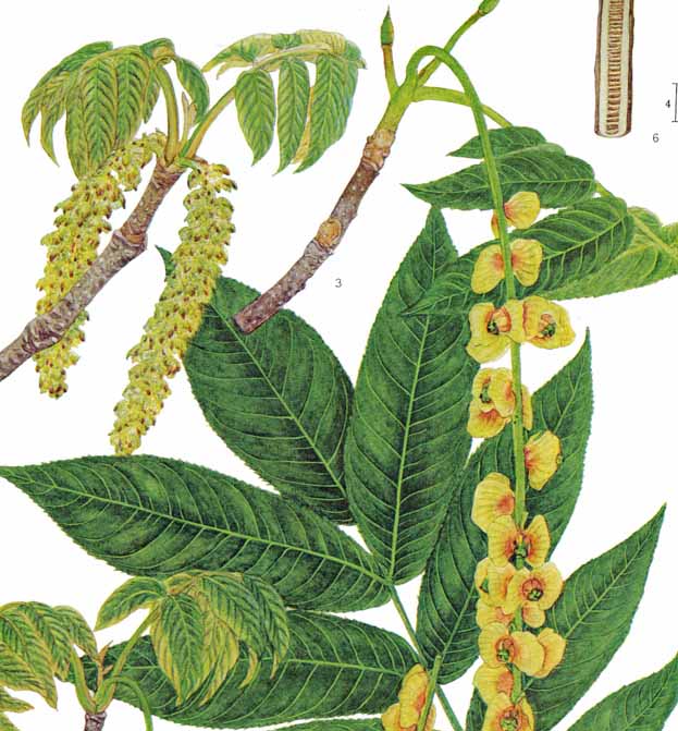 �T���O���~