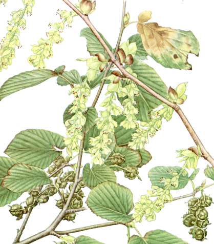 �g�T�~�Y�L