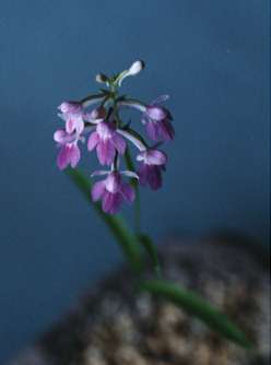 �E�`���E����