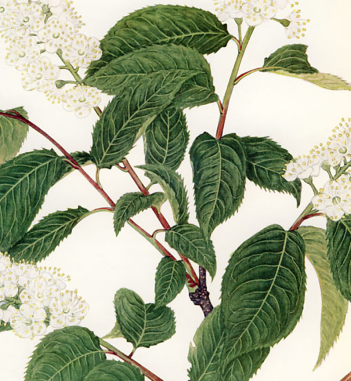 �E���~�Y�U�N��