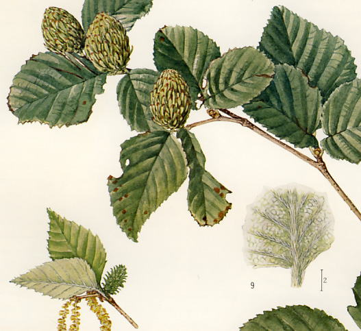 �W�]�E�J���o