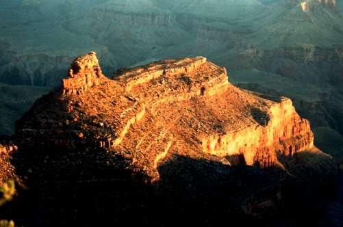 ���Ă��̃r���[�g