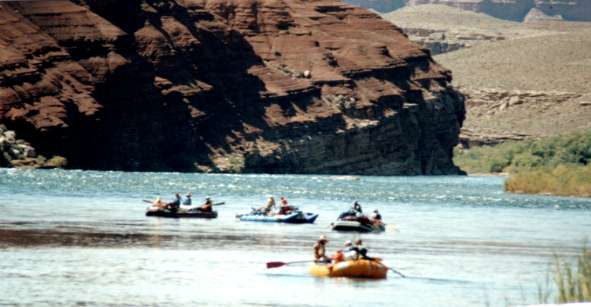 ���[�Y�t�F���[