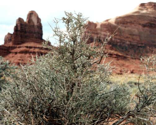 �h�̂�����