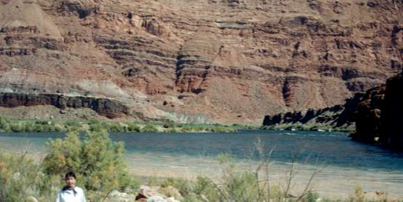 �R�����h��̐����ƃp���A��̑���