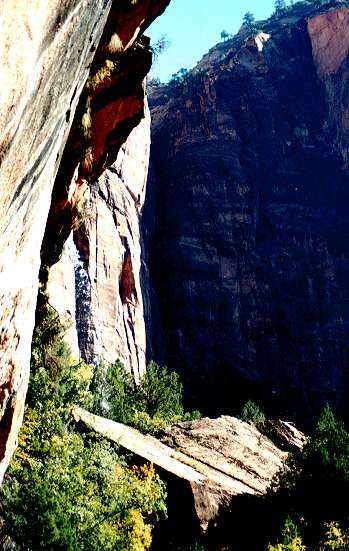 �G�������h�v�[��