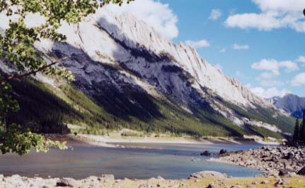 ���f�B�V����