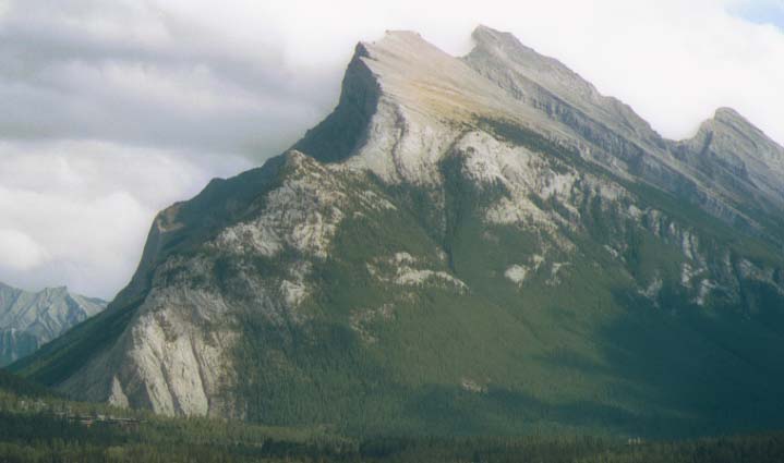 �����h���R