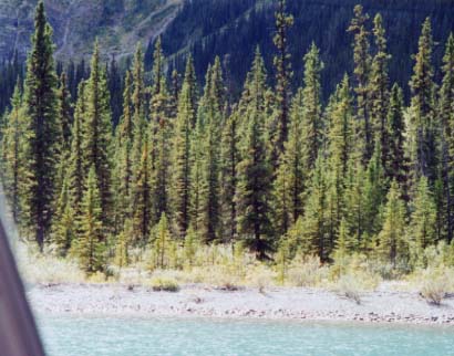 �X�v���[�X