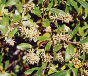 ���i�M��