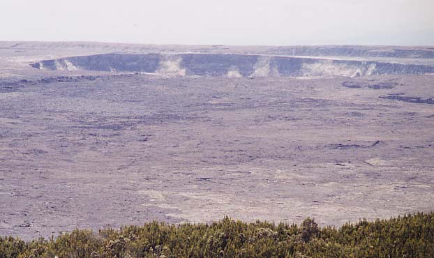 �n���}�E�}�E�Ό�