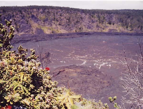 �v�v�A�C����̃C�L�Ό�