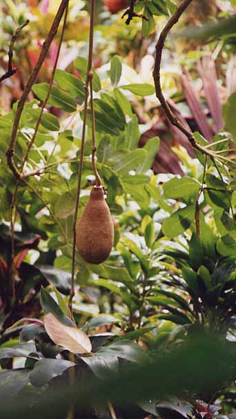 �\�[�Z�[�W�m�L