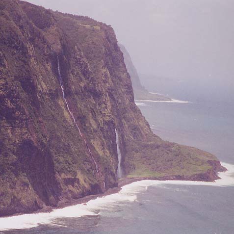 ���C�I�s�k�J