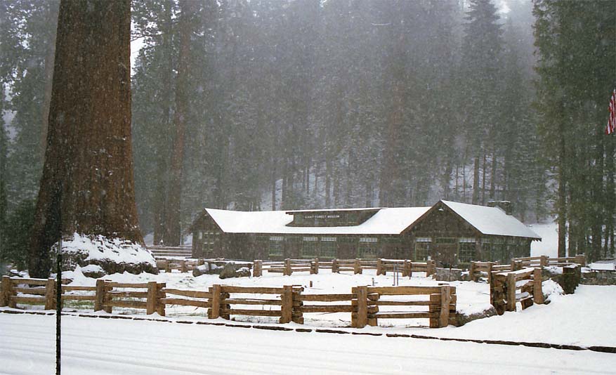 ��̃W���C�A���g�t�H���X�g������