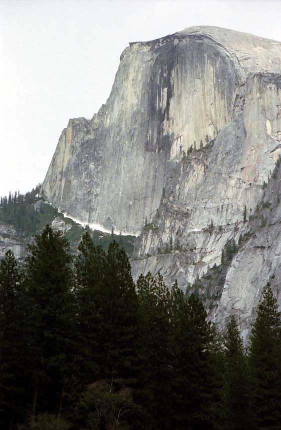 �n�[�t�h�[��