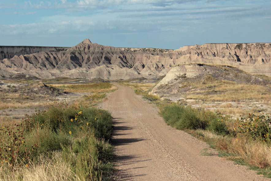 �V�[�v�}�E���e���ւ̖��ܑ����H