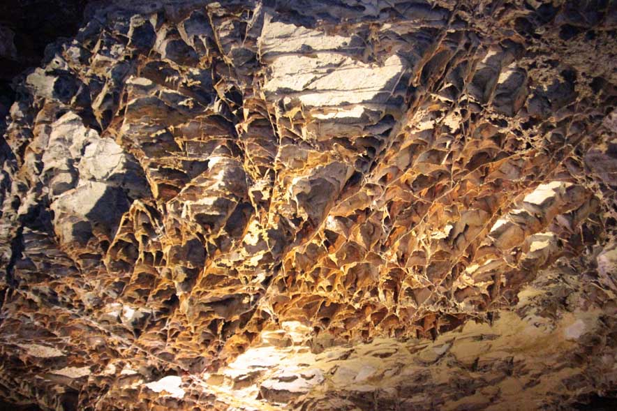 �E�C���h�P�C�u��������Box WorK