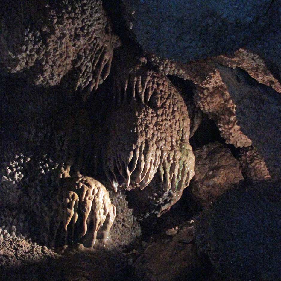 �W�F�E�G���P�C�u