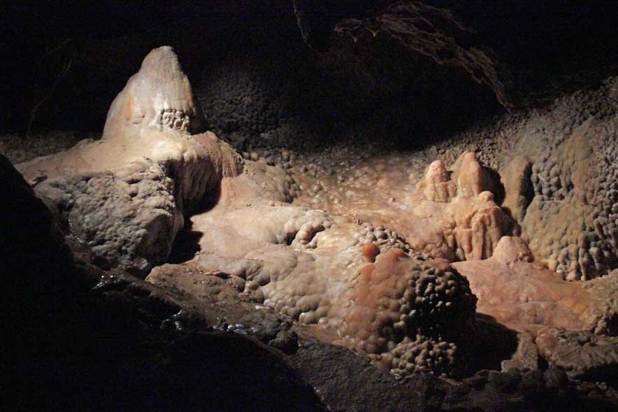 �W�F�E�G���P�C�u