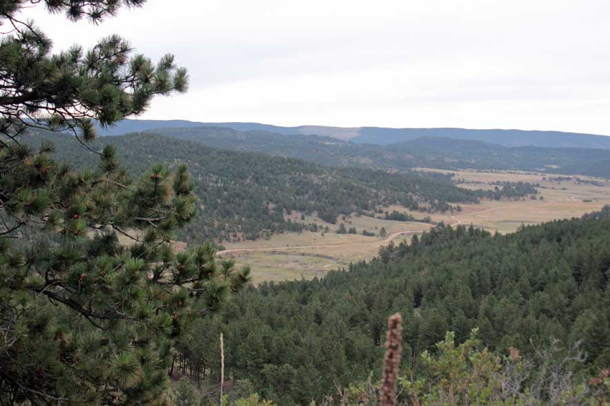 �\���g�k�J