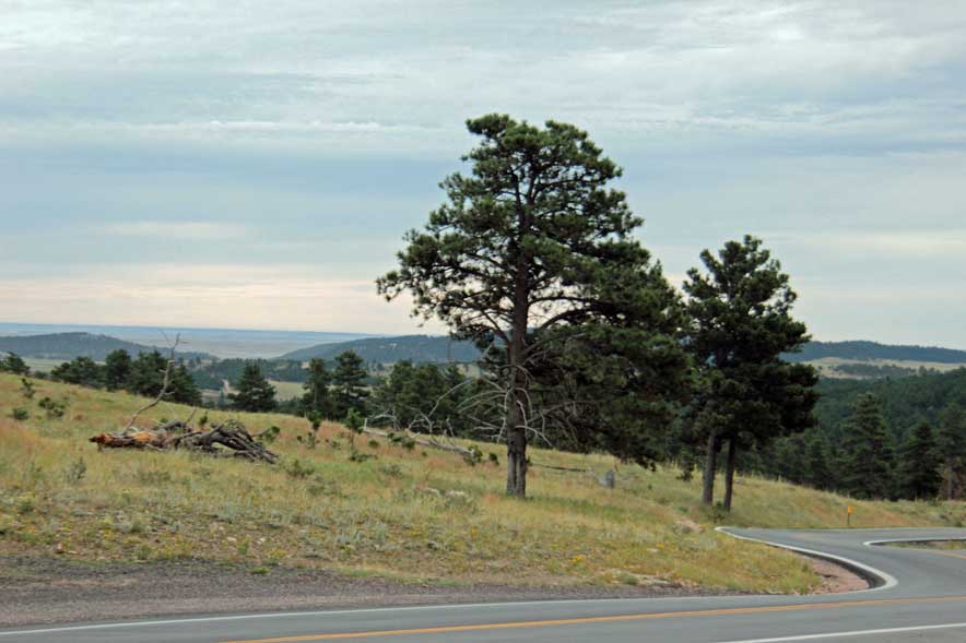 �A�C�A���}�E���e�����H