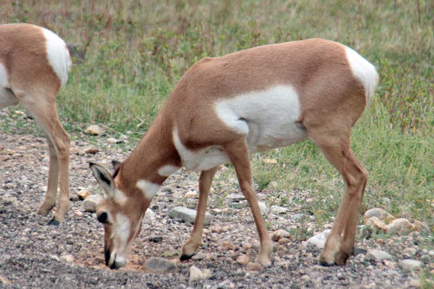 �v�����O�z�[��