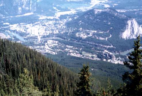 �T���t�@�[�}�E���e�C������̃o���t