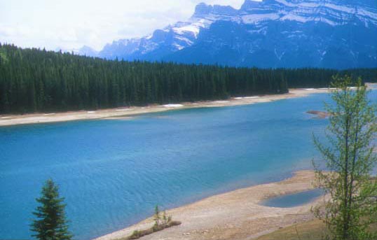 �c�E�W���b�N��