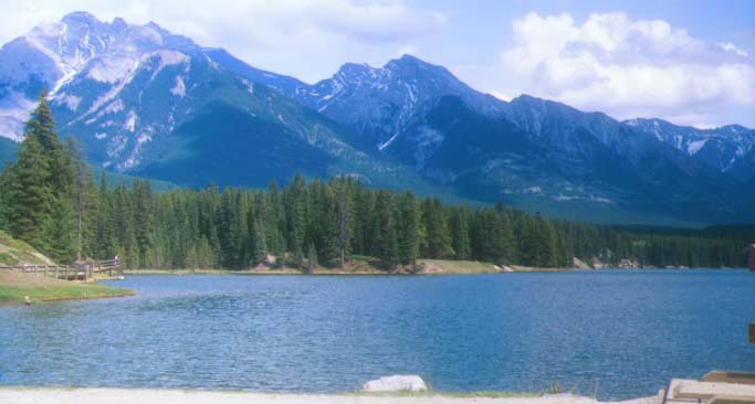 �W�����\����