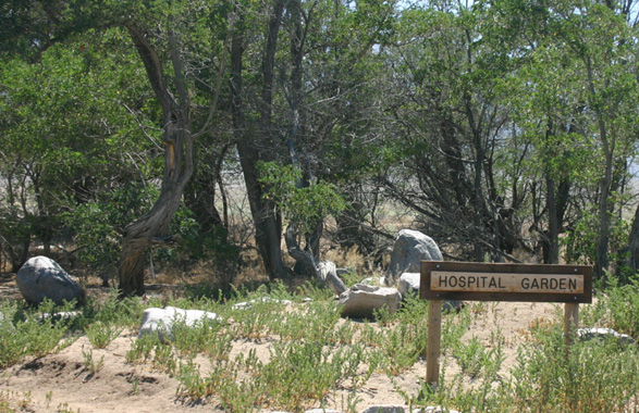 �}���U�i�[���a�@�̒��