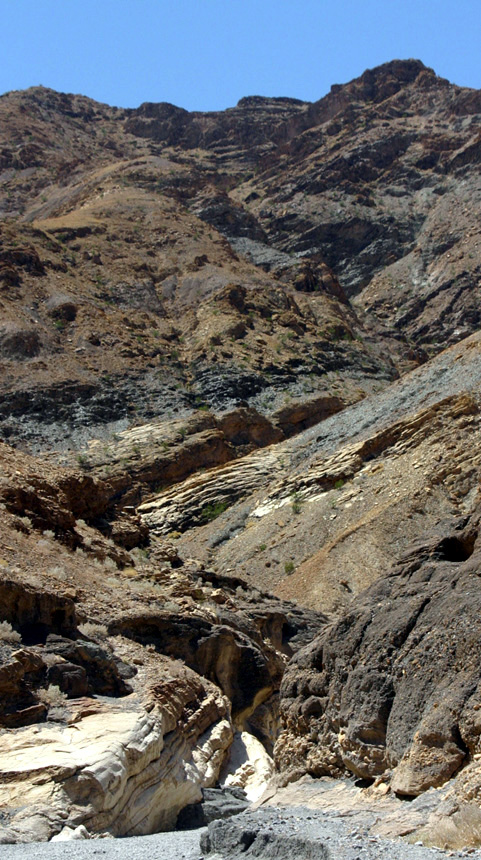 ���U�C�N�L���j�I��