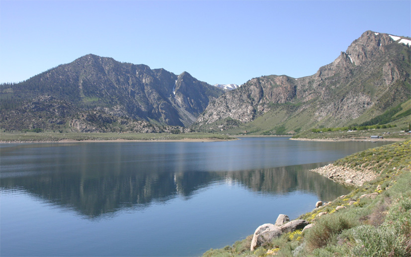 �O�����g���C�N