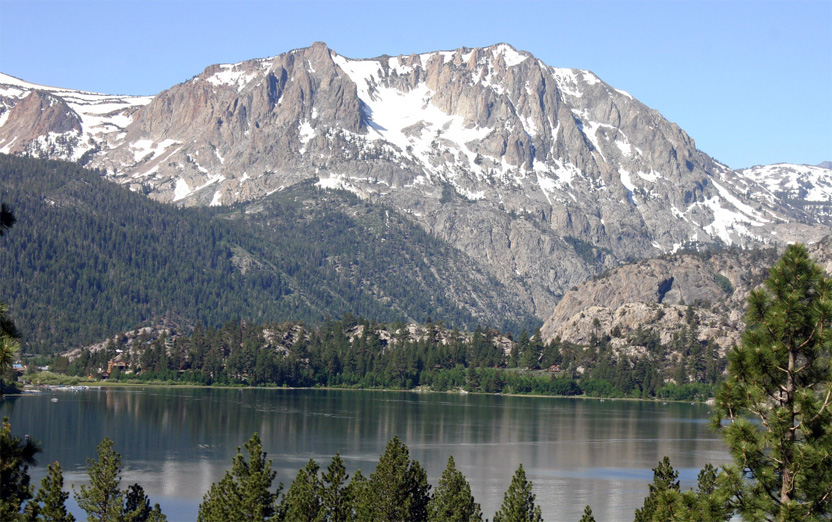 �W���[�����C�N