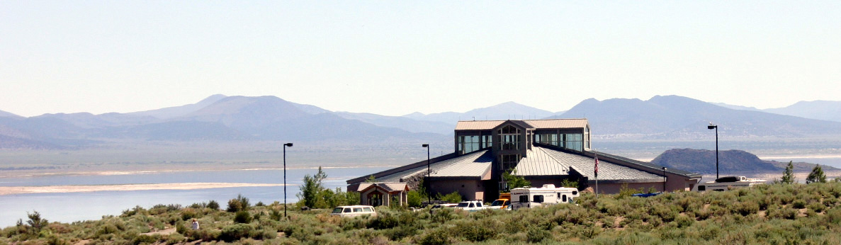 ���m���C�N�r�W�^�[�Z���^�[