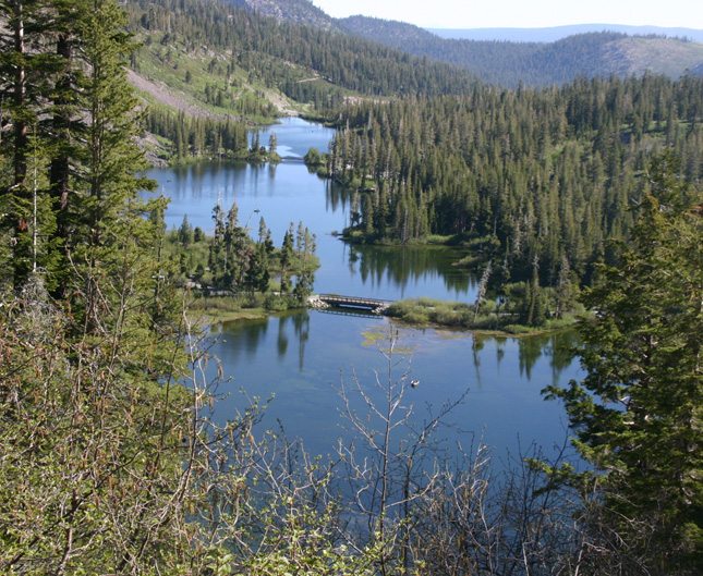 �c�C�����C�N