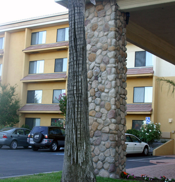 �z���f�B�C��