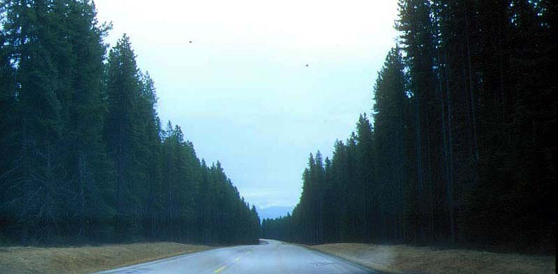 �X�v���[�X�̓�