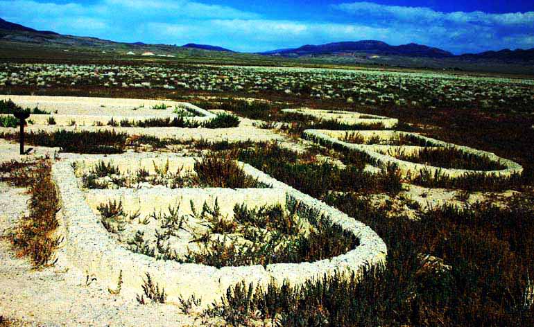 ��Z���̈��