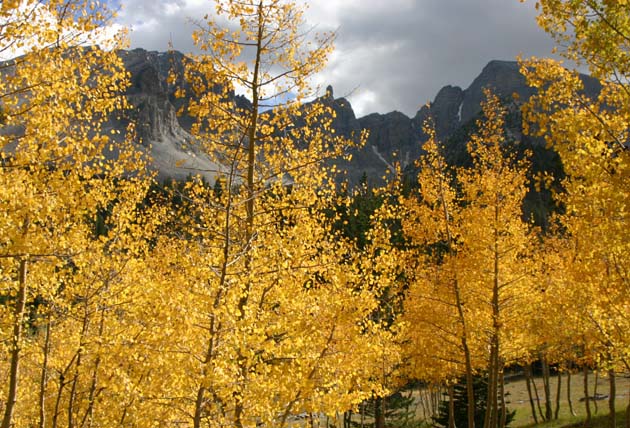 ���t�̃A�X�y��