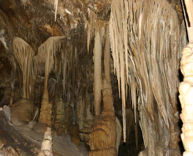 ���[�}�����A