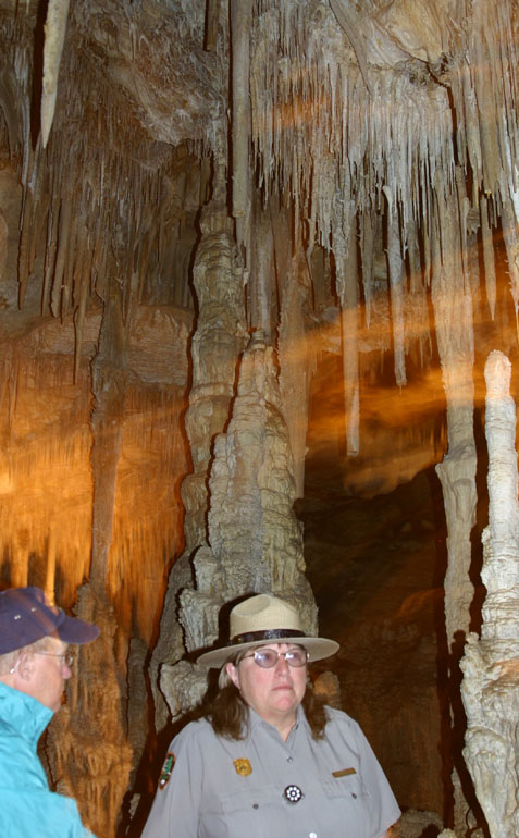 ���[�}�����A�̃����W���[