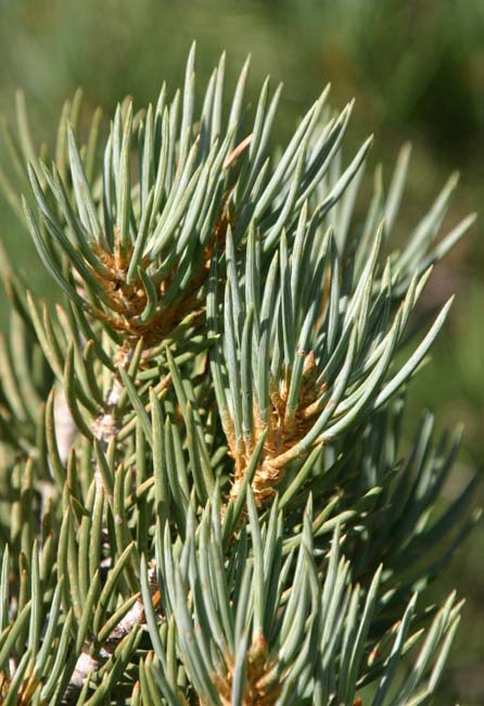 �A�����J�q�g�c�o�}�c