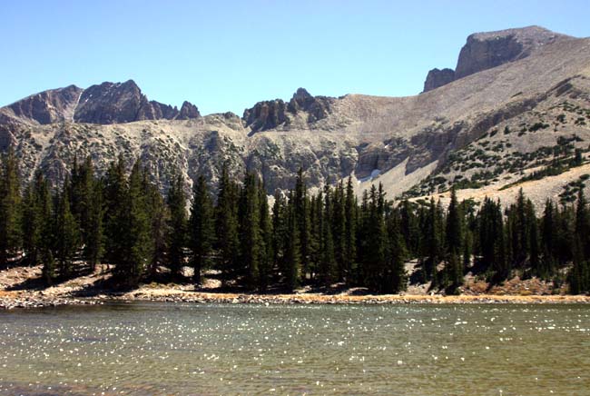 �X�e����