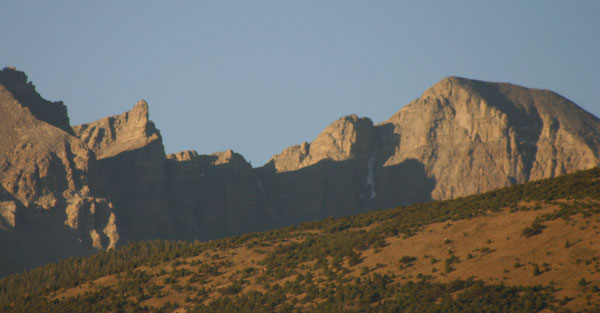 ���Ă��̃E�B���[�s�[�N