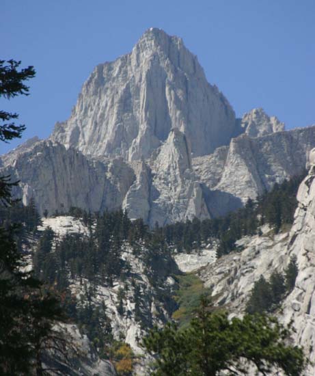 �}�E���g�z�C�b�g�j�[