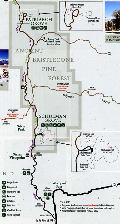 �Ñ�u���b�X���R�[���̐X