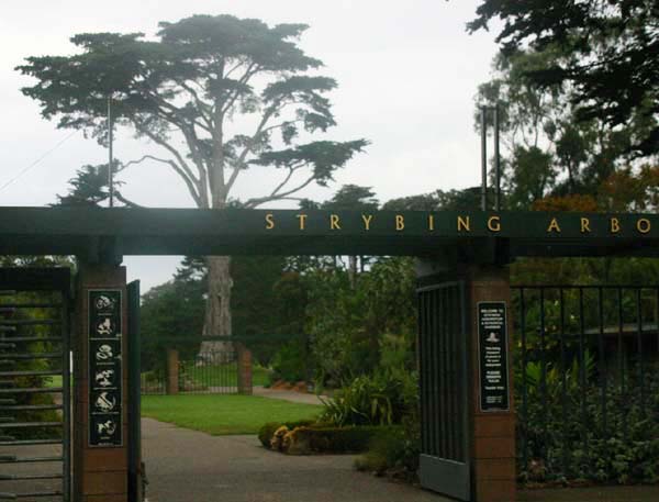 �X�g���r���O���؉�